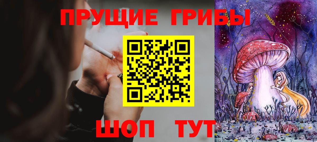 Богданович  Галлюциногенные грибы Magic Shrooms  сколько стоит  Вход с VPN 